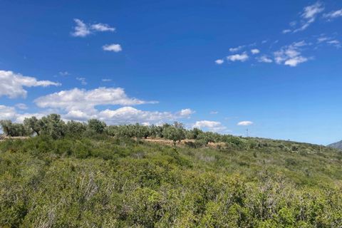 Landejendom i El Perello, Tarragona, El Perello - € 35.000 | Ref: Finca Godai Exc - foto 9